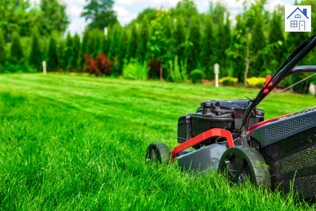 Rasen im Sommer mähen