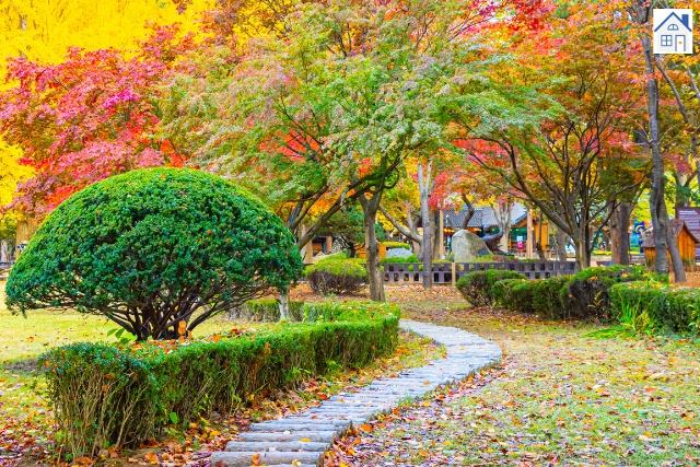 Herbst im Garten