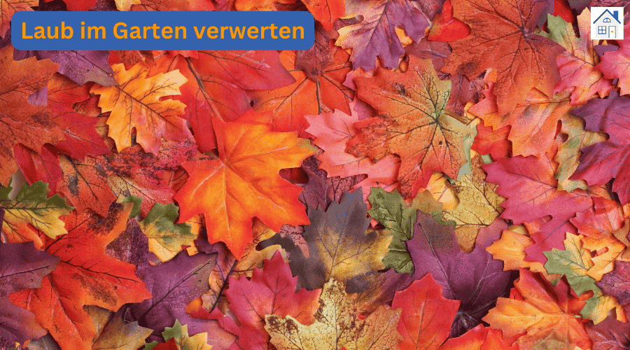 Laub verwerten – Tipps für Deinen Garten